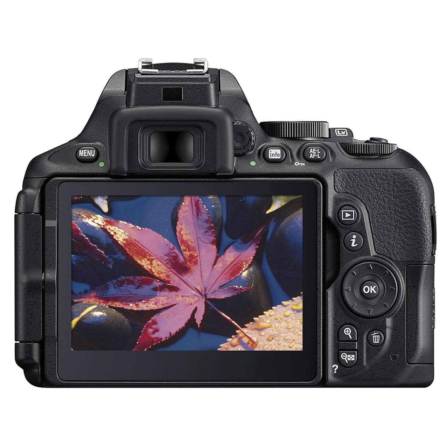 Nikon D5600 w/AF-P DX NIKKOR 18-55mm f/3.5-5.6G VR + Case + 32GB